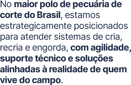 No maior polo de pecua╠üria de corte do Brasil, estamos estrategi