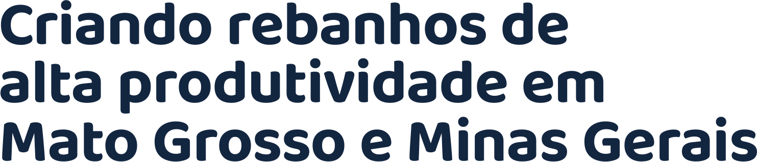 Criando rebanhos de alta produtividade em Mato Grosso e Minas G